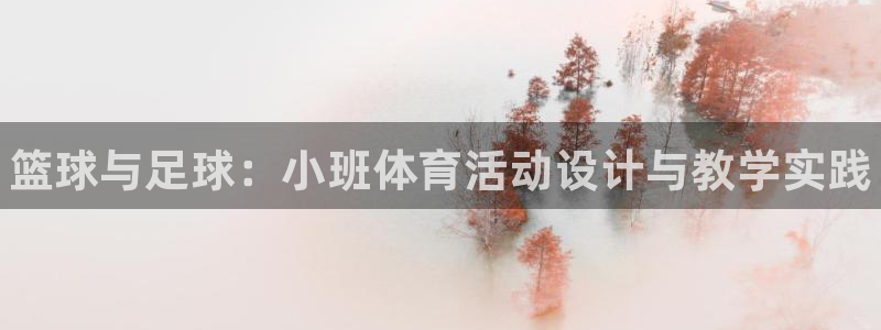 球王会体育