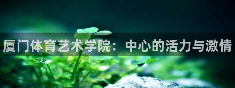 球王会体育