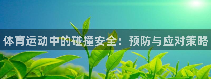 球王会体育