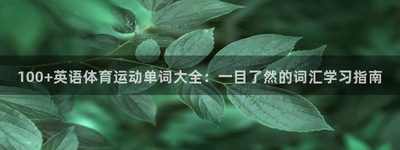 球王会体育