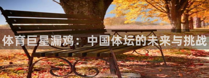球王会体育
