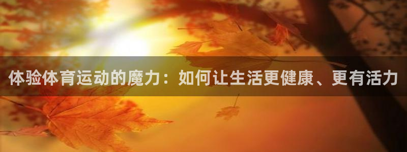 球王会体育