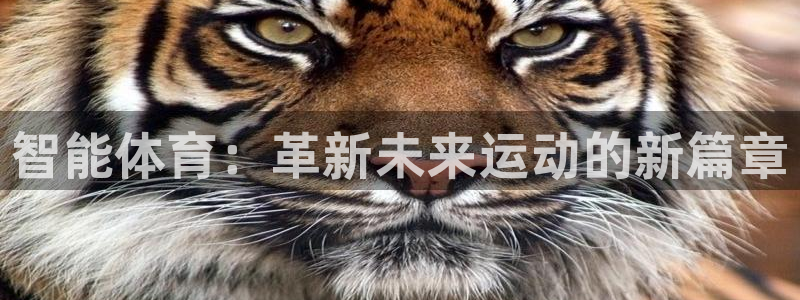 球王会体育