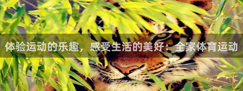球王会体育