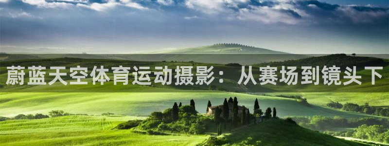 球王会体育