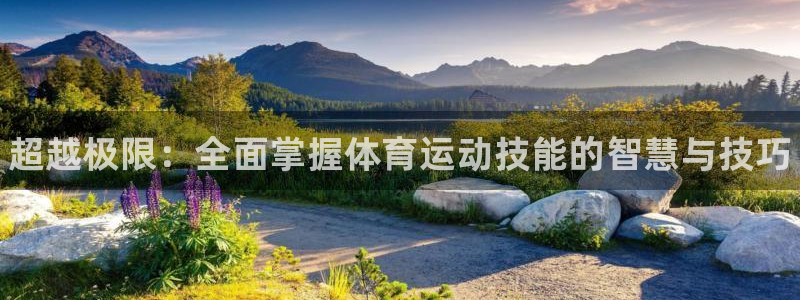 球王会体育