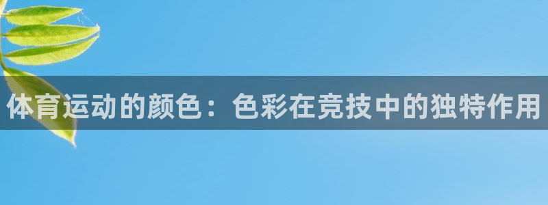 球王会体育
