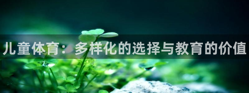 球王会体育