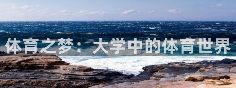 球王会体育