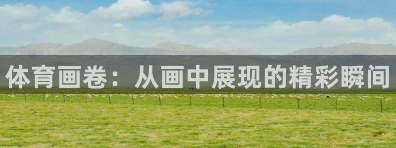 球王会体育