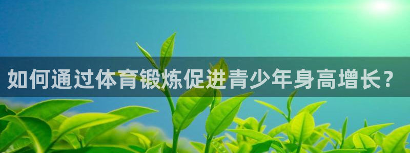 球王会体育