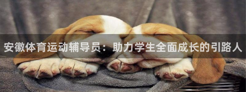 球王会体育