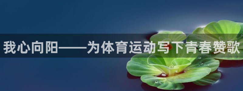 球王会体育