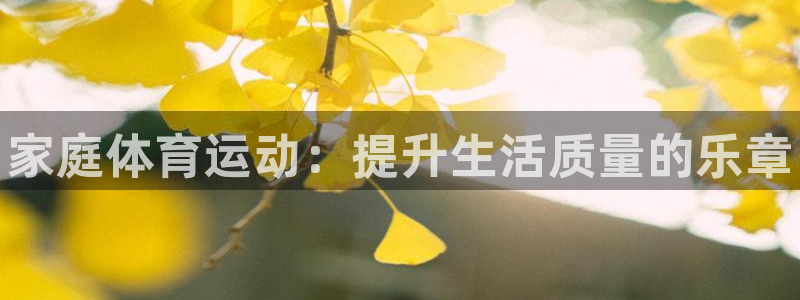 球王会体育