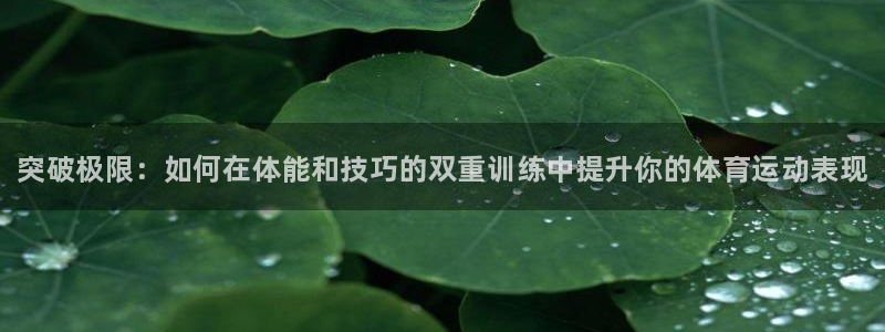 球王会体育
