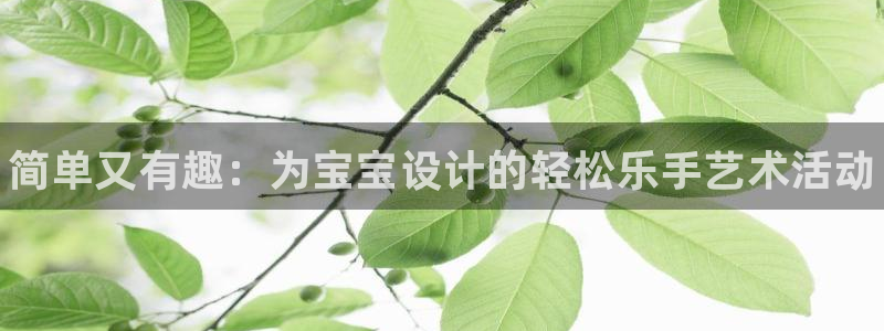 球王会体育