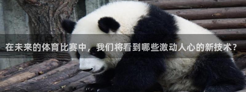 球王会体育