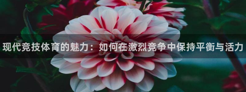 球王会体育