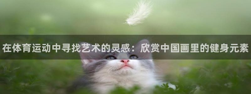 球王会体育