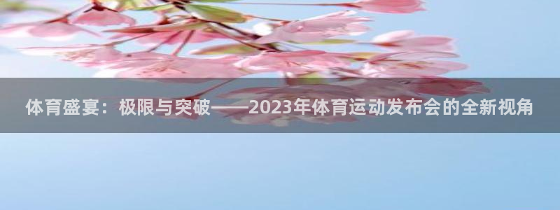 球王会体育