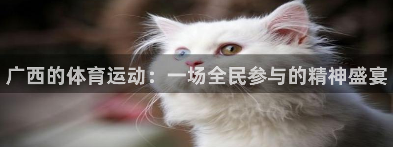 球王会体育