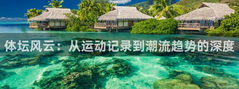 球王会体育
