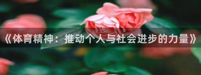球王会体育