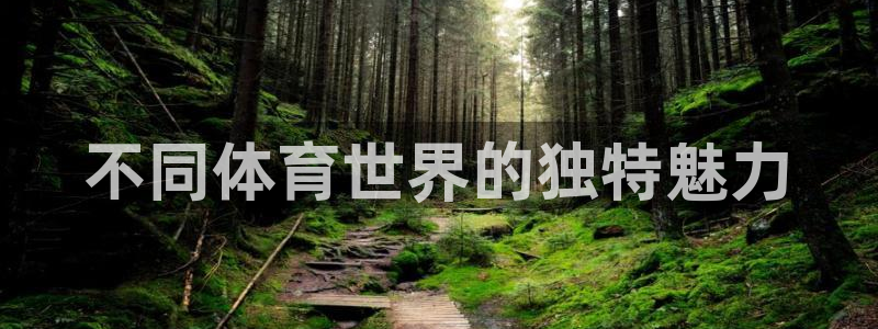 球王会体育